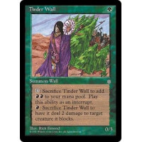 Tinder Wall (Ice Age)