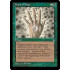 Touch of Vitae (Ice Age)