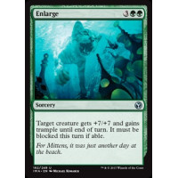 Enlarge (Iconic Masters)