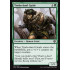 Timberland Guide (Iconic Masters)