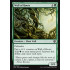 Wall of Roots (Iconic Masters)