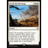 Settle the Wreckage (Ixalan)