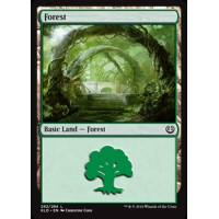 Forest v1 (Kaladesh)