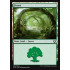 Forest v1 (Kaladesh)
