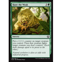 Hunt the Weak (Kaladesh)