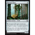 Narnam Cobra (Kaladesh)