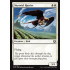 Skyswirl Harrier (Kaladesh)