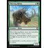 Thriving Rhino (Kaladesh)