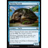 Thriving Turtle (Kaladesh)