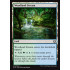 Woodland Stream (Kaladesh)