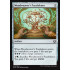 Woodweaver's Puzzleknot (Kaladesh)