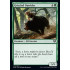 Grizzled Outrider (Kaldheim)