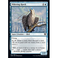 Pilfering Hawk (Kaldheim)