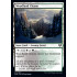 Woodland Chasm (Kaldheim)