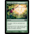 Bountiful Harvest (Magic 2010 Core Set)