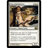 Mesa Enchantress (Magic 2012 Core Set)