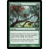 Ranger's Path (Magic 2013 Core Set)