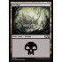 Swamp v1 (Magic 2019 Core Set)