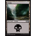 Swamp v3 (Magic 2019 Core Set)