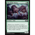 Thornhide Wolves (Magic 2019 Core Set)
