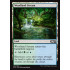 Woodland Stream (Magic 2019 Core Set)