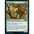 Gnarled Sage (Magic 2021 Core Set)