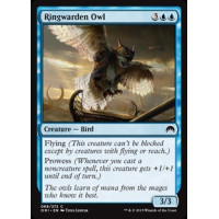 Ringwarden Owl (Magic Origins)