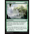 Zendikar's Roil (Magic Origins)