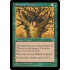 Armor of Thorns (Mirage)