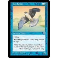Bay Falcon (Mirage)