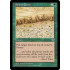 Fallow Earth (Mirage)