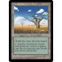 Grasslands (Mirage)