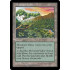 Mountain Valley (Mirage)