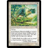 Mtenda Griffin (Mirage)