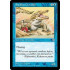 Sandbar Crocodile (Mirage)