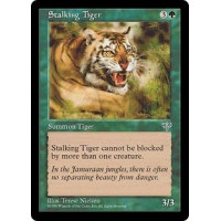 Stalking Tiger (Mirage)