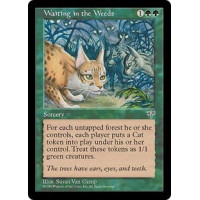 Waiting in the Weeds (Mirage)