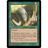 Wild Elephant (Mirage)