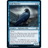 Foul Watcher (Modern Horizons 2)