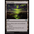 Barren Moor (Modern Horizons)