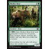 Mother Bear (Modern Horizons)