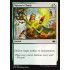 Nature's Chant (Modern Horizons)