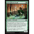 Springbloom Druid (Modern Horizons)