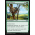 Squirrel Nest (Modern Horizons)