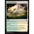 Tranquil Expanse (Oath of the Gatewatch)