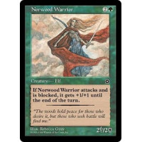 Norwood Warrior (Portal Second Age)