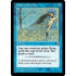Cloak of Feathers (Portal)