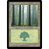 Forest v1 (Portal)