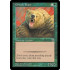 Grizzly Bears (Portal)