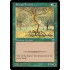 Rowan Treefolk (Portal)